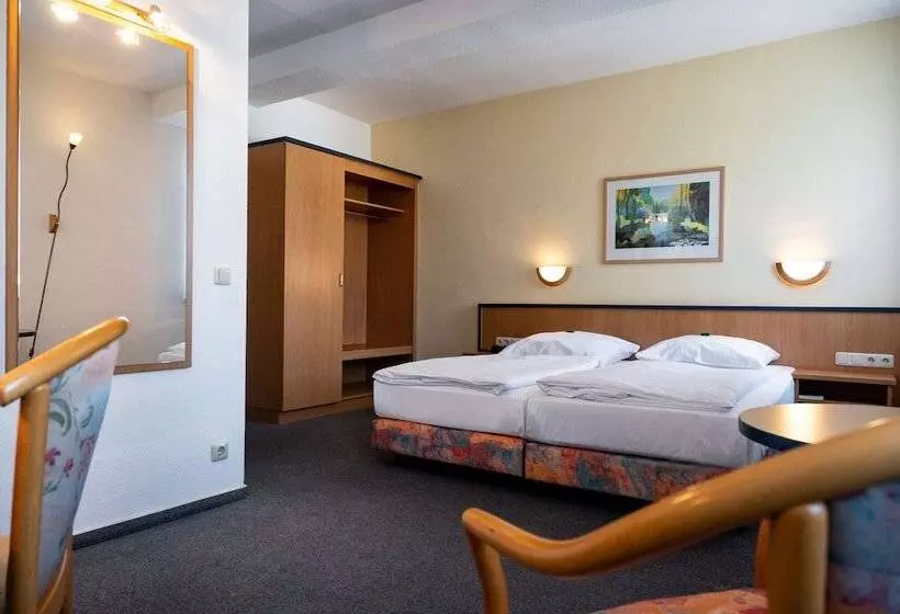 Отель Wetzlarer Hof