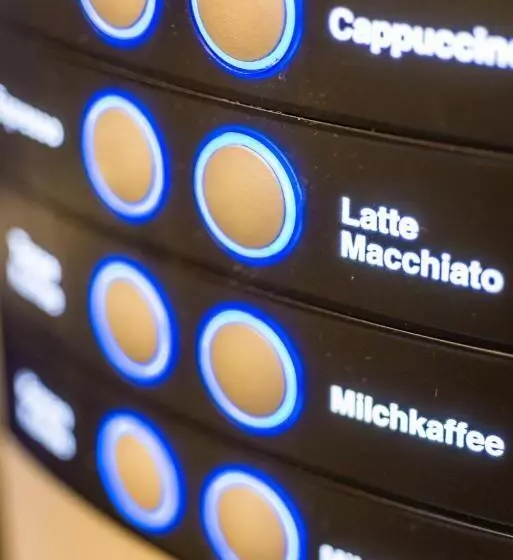 Moselromantik Hotel Zum Löwen