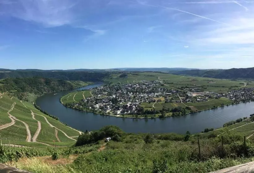 Moselromantik Hotel Zum Löwen