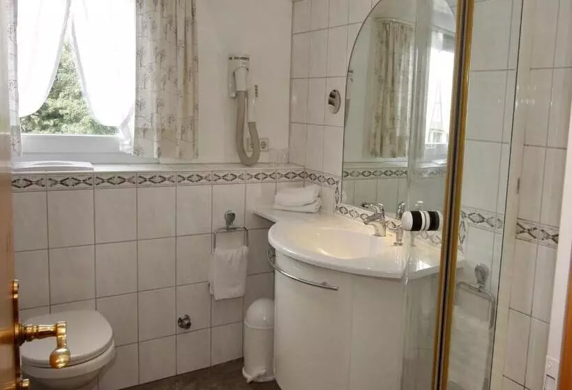 Schwarzwaldgasthof Hotel Schwanen