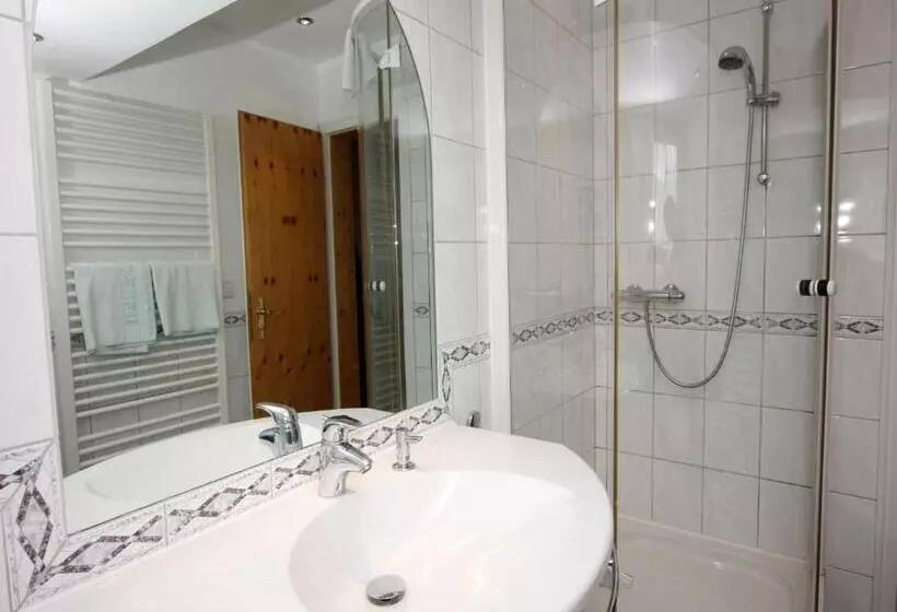 Schwarzwaldgasthof Hotel Schwanen