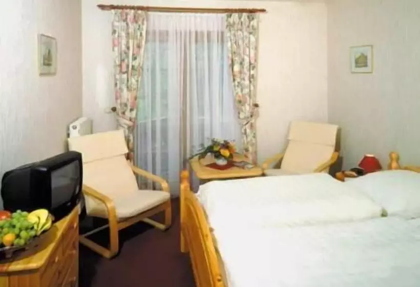 בית מלון כפרי Hostel Zum Löwen