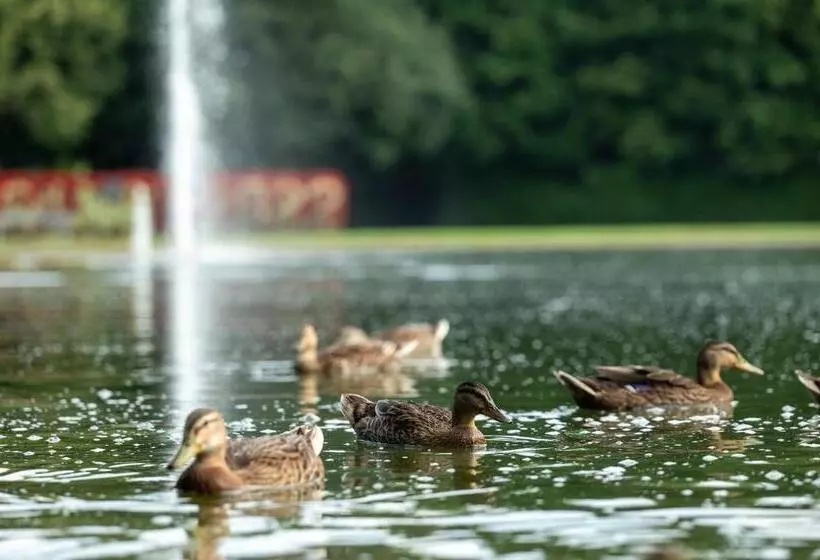 Wellnesshotel Wittelsbach