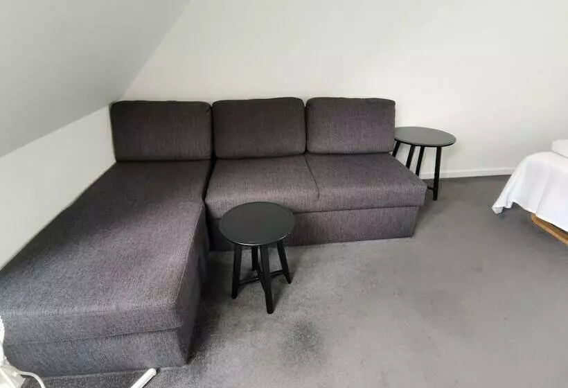 בית מלון כפרי Skandinavien