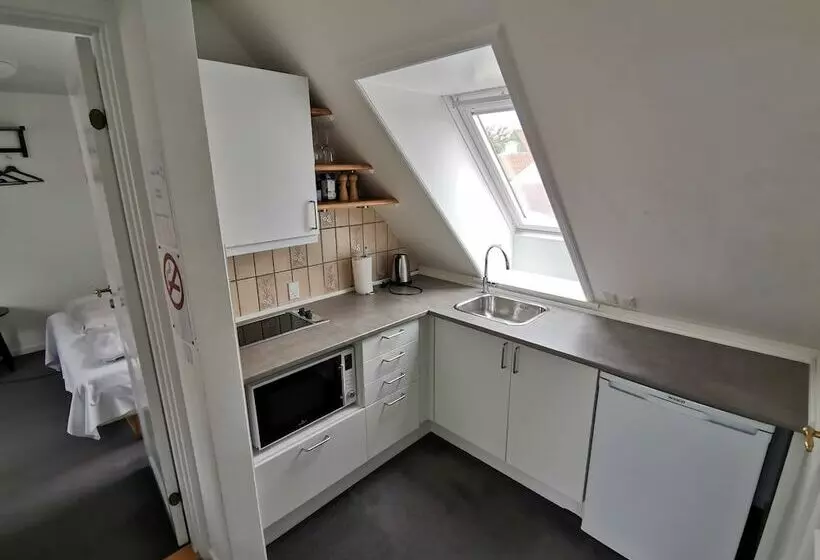 בית מלון כפרי Skandinavien