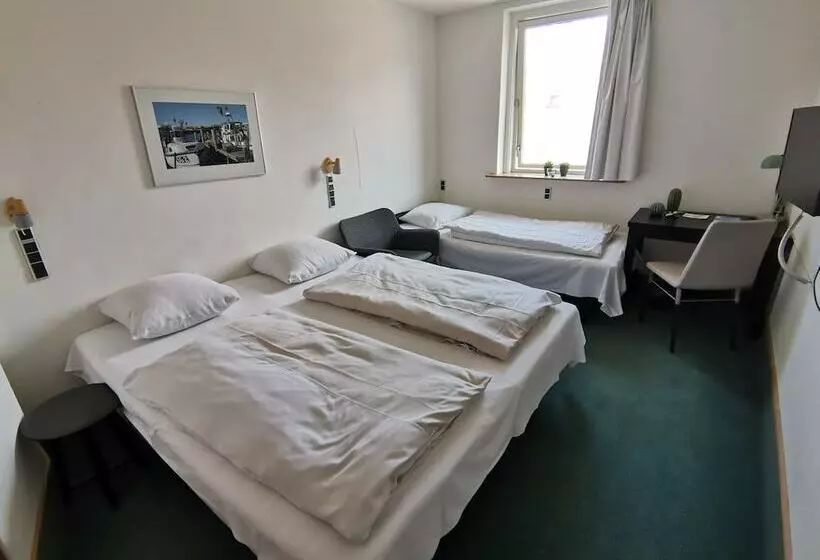 בית מלון כפרי Skandinavien