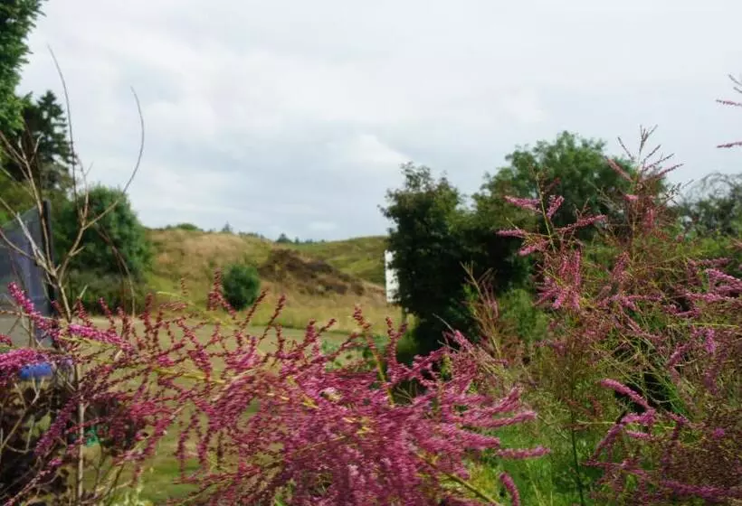 モーテル Lyng Dal Hotel Og Restaurant