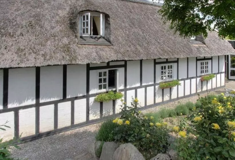 モーテル Lyng Dal Hotel Og Restaurant