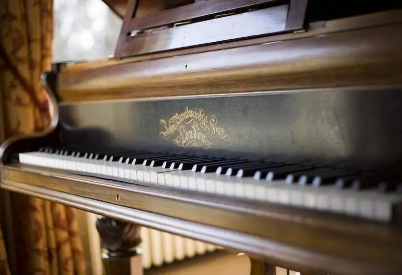 פונדק Ariel House