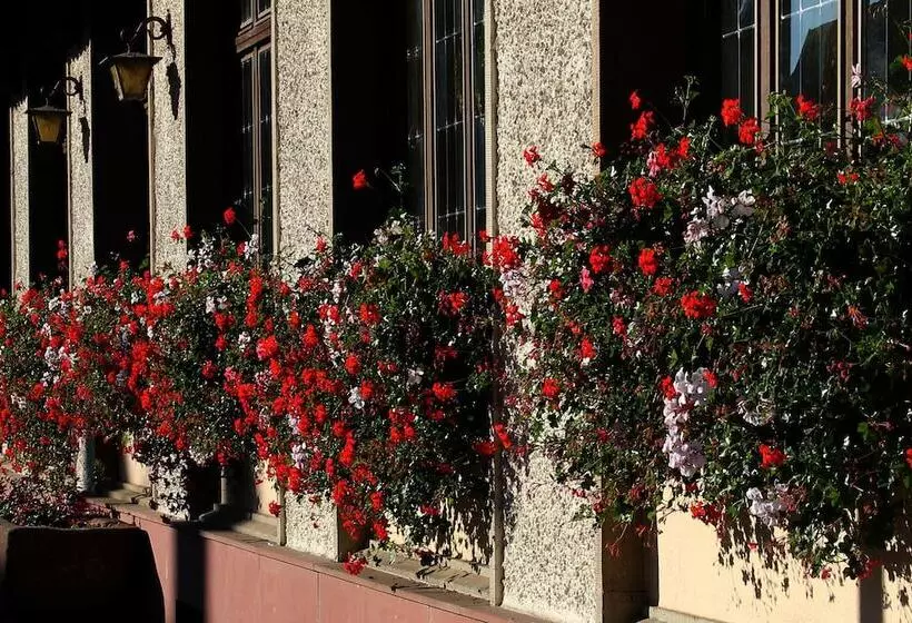 Отель Au Nid De Cigognes