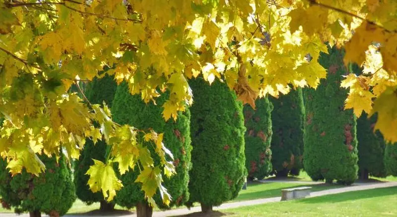 Hotell Chateau De Gilly