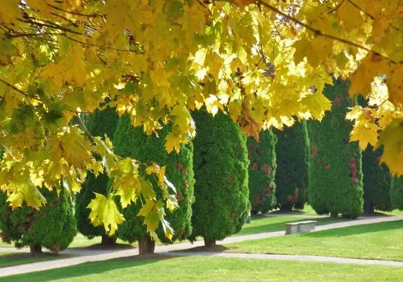 Hotell Chateau De Gilly