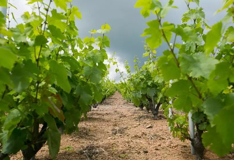 ホテル Chateau De Pizay