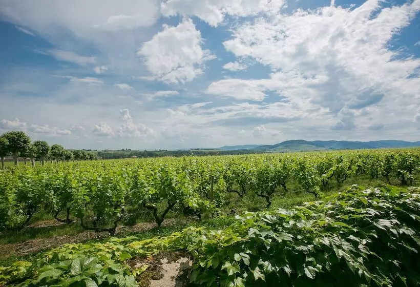 ホテル Chateau De Pizay