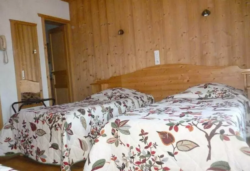 هتل Hôtel Beauregard, Montagne à Morzine