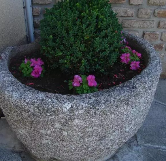 酒店 Hôtel Beauséjour