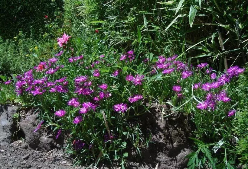 酒店 Hôtel Beauséjour