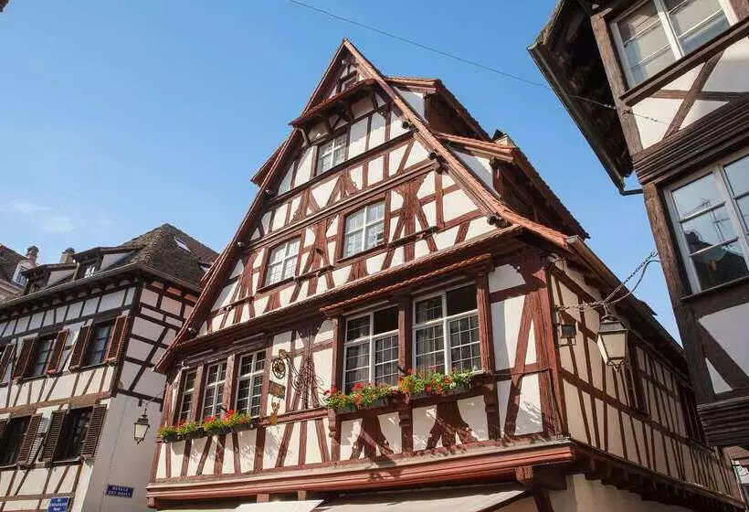 酒店 Hôtel Le Bristol Strasbourg Gare