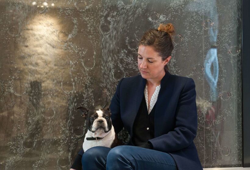 ホテル Du Vieux Saule