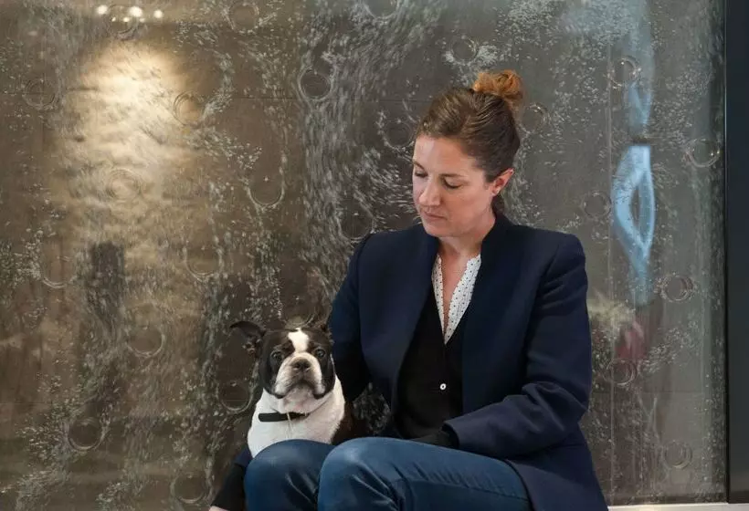 ホテル Du Vieux Saule