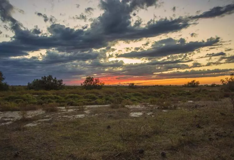 酒店 Hôtel La Palunette