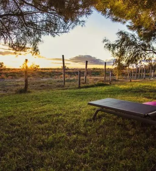 酒店 Hôtel La Palunette