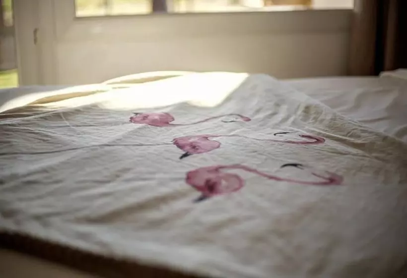 酒店 Hôtel La Palunette