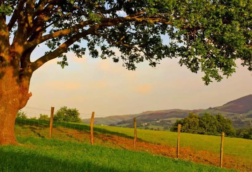 ホテル Hôtel Les Tilleuls