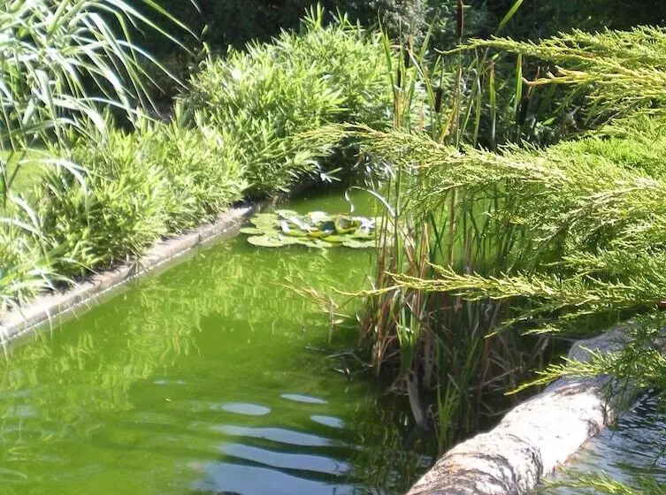 Hotel Hôtel Restaurant Ricordeau