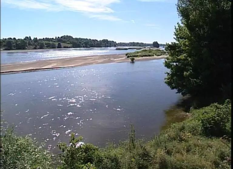 酒店 Logis Hôtel Restaurant Le Coq Hardi