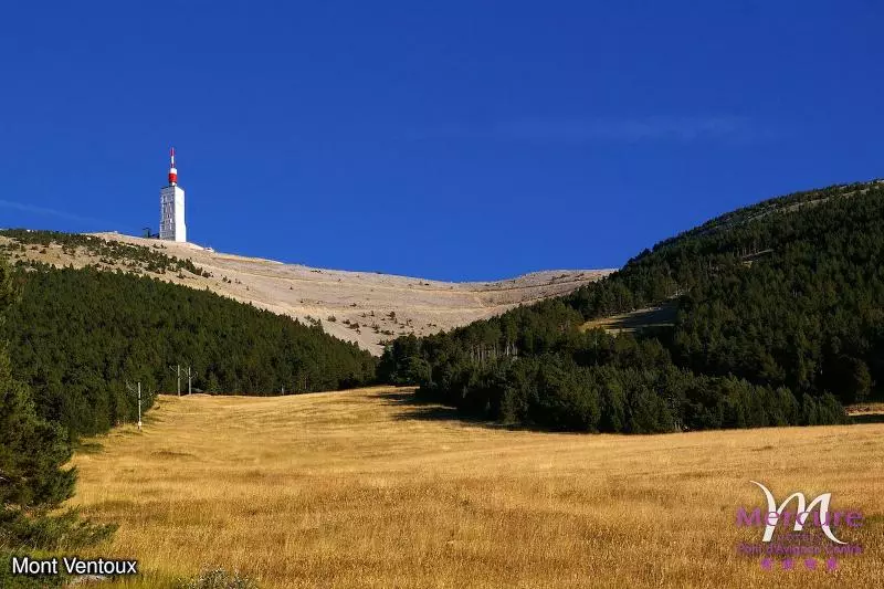 酒店 Mercure Pont D’avignon Centre