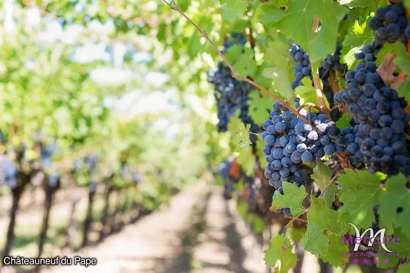 酒店 Mercure Pont D’avignon Centre