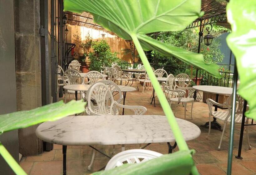 فندق Moderne Et Pigeon