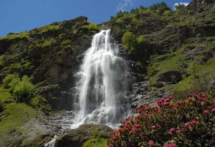 Отель Mont Olan