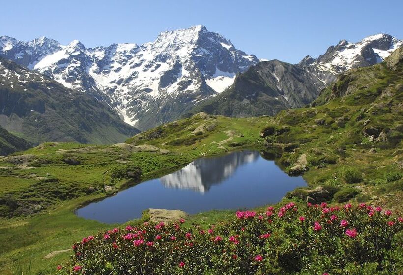 Отель Mont Olan