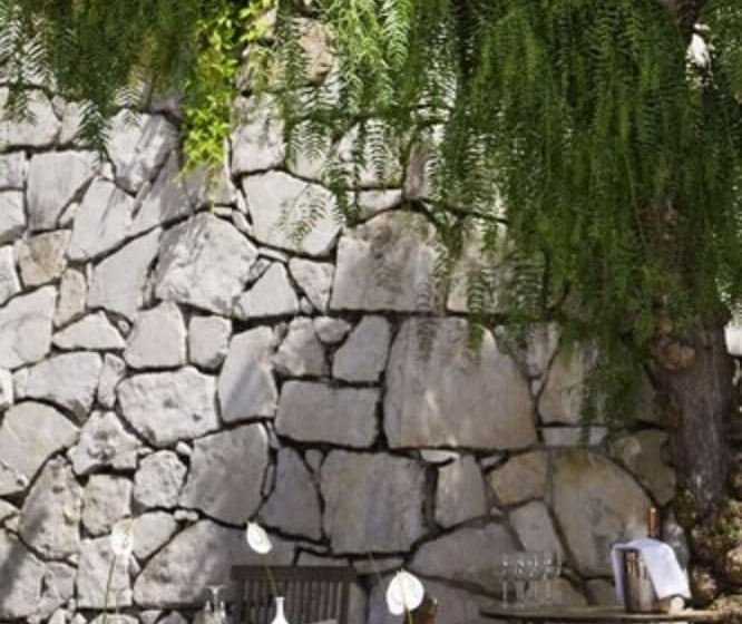 هتل Cannes Montfleury