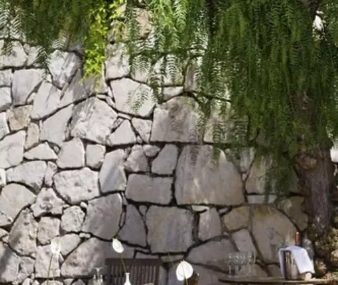 Отель Cannes Montfleury