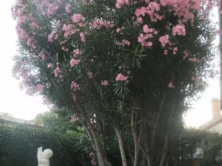 Отель Du Tricastin