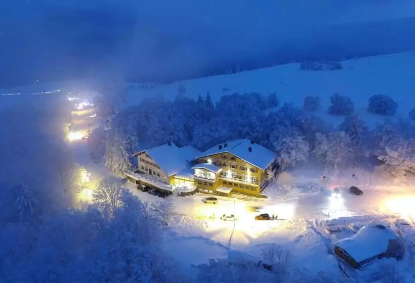 ホテル Hôtel Restaurant Wolf