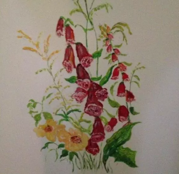 ホテル Hôtel Restaurant Wolf