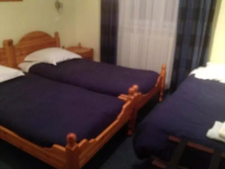 ホテル Hôtel Restaurant Wolf