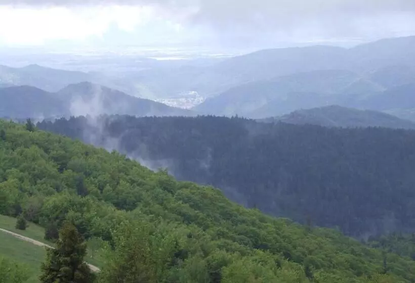 ホテル Hôtel Restaurant Wolf