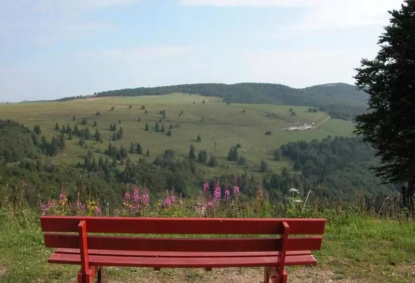 ホテル Hôtel Restaurant Wolf