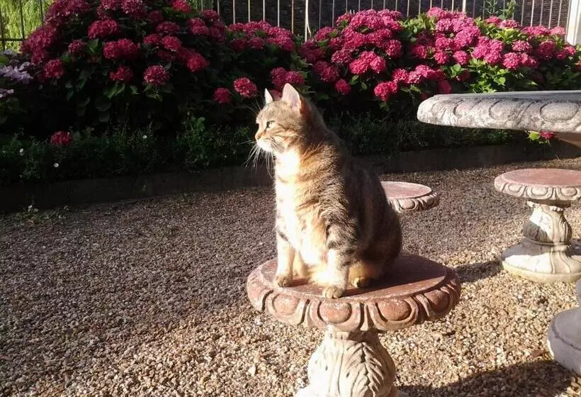 בית מלון כפרי La Renaudière