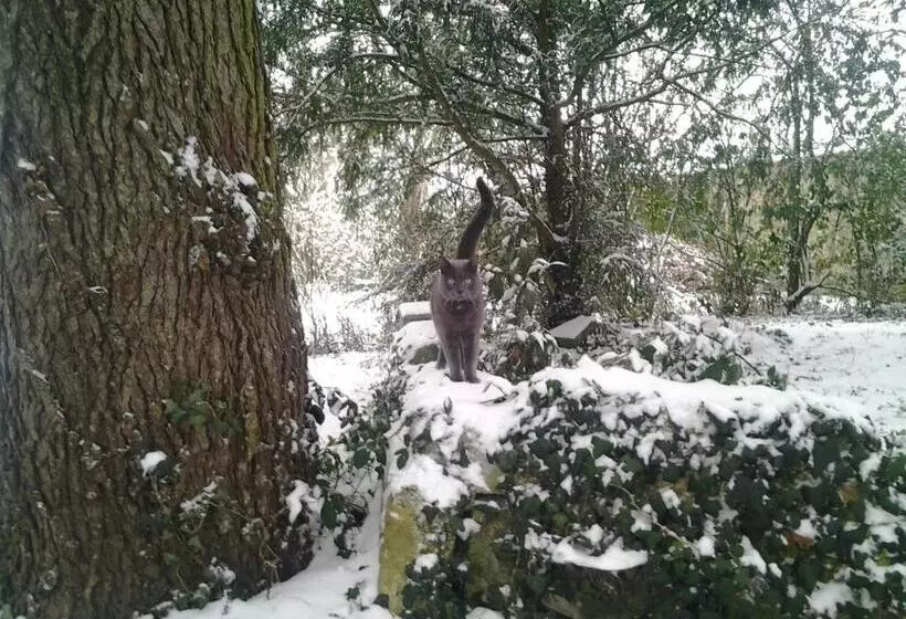 בית מלון כפרי La Renaudière