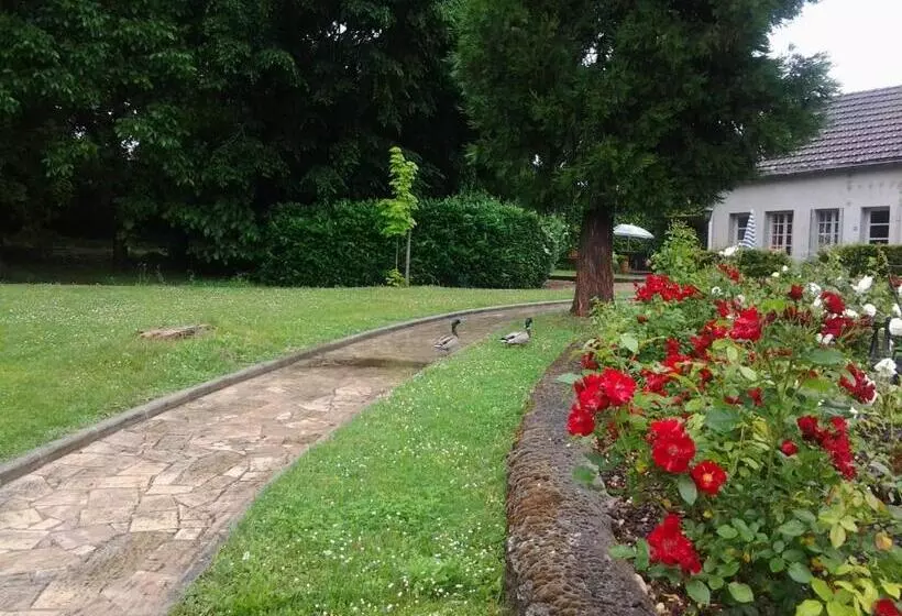 בית מלון כפרי La Renaudière