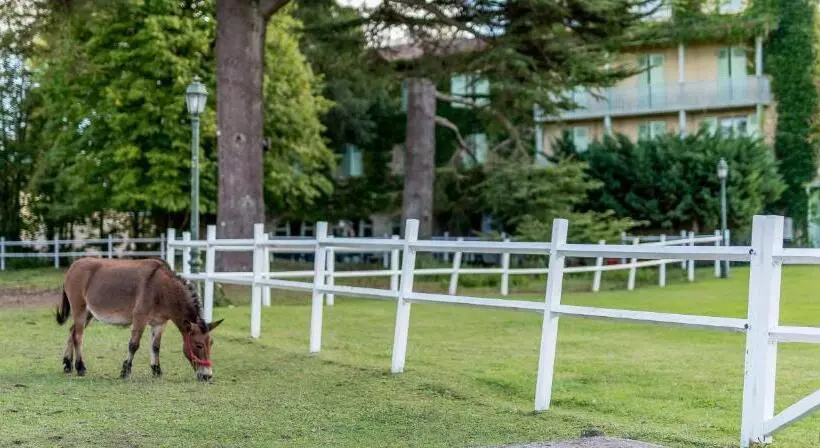 ホテル Logis Hôtels Hôtel Et Restaurant Domaine De Fompeyre
