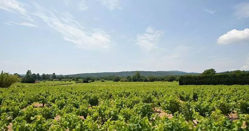 酒店 Hôtel Saint Vincent