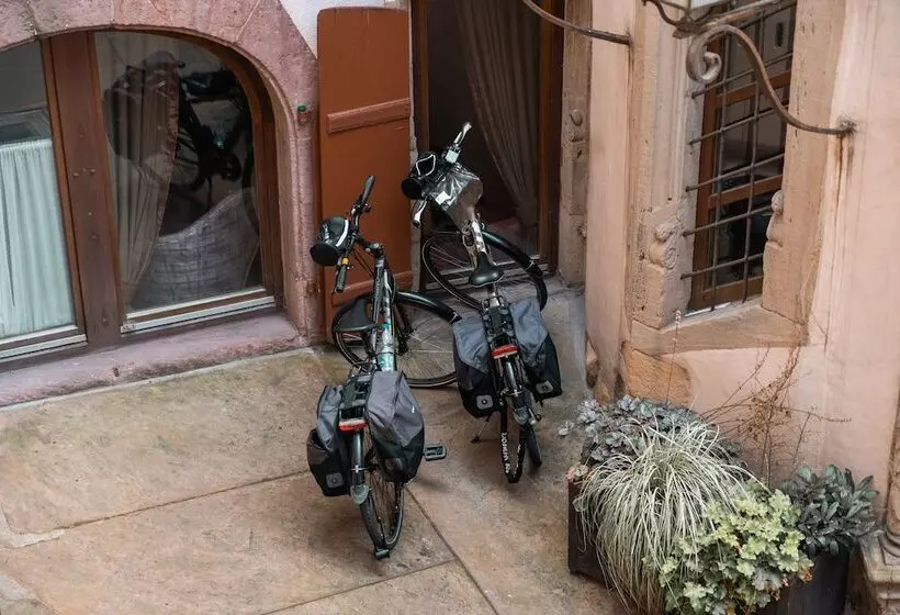 בית מלון כפרי Saintmartin