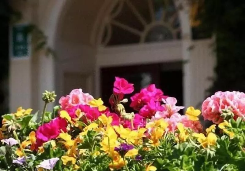 Hotel Les Rocquettes